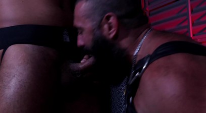 Big Hairy Bear Sucks a mean Big Hunk Dick - Menover30