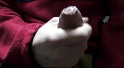 Numero 26