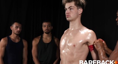 Stud Loads Vol. 5. Title: Marking the Stallions